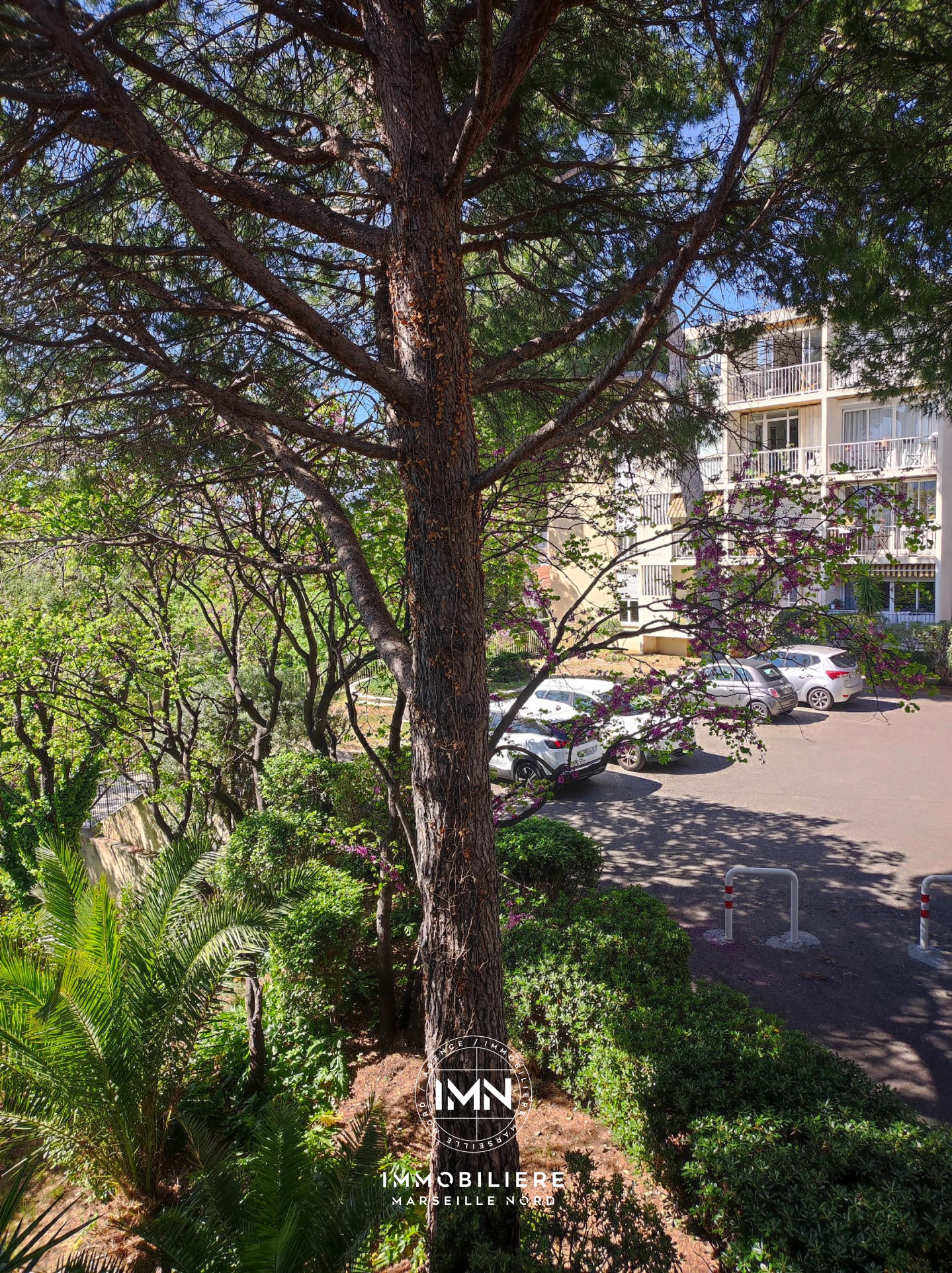 Image_, Studio, Marseille, ref :001953