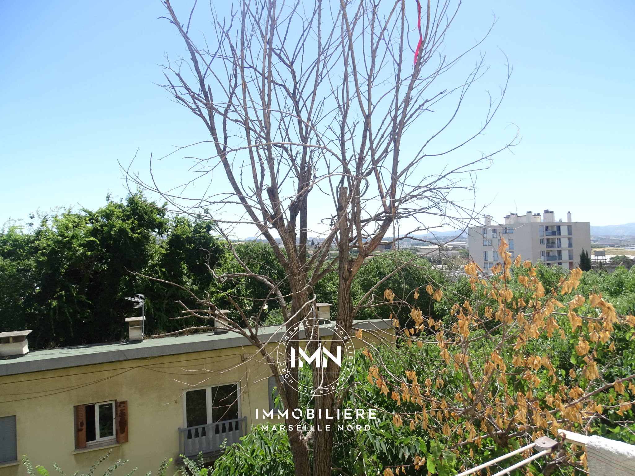 Image_, Appartement, Marseille, ref :001858