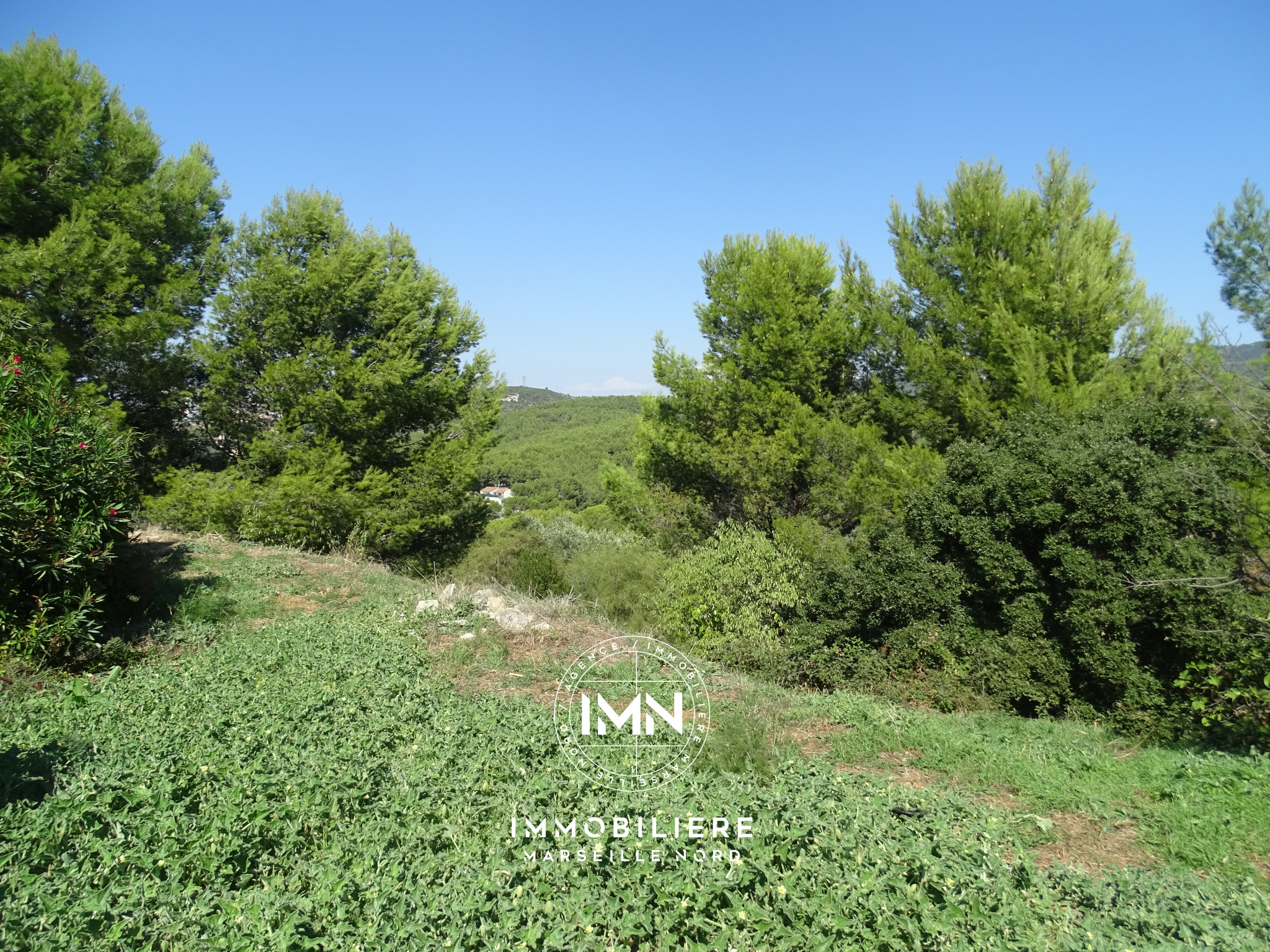 Image_, Maison, Marseille, ref :001971