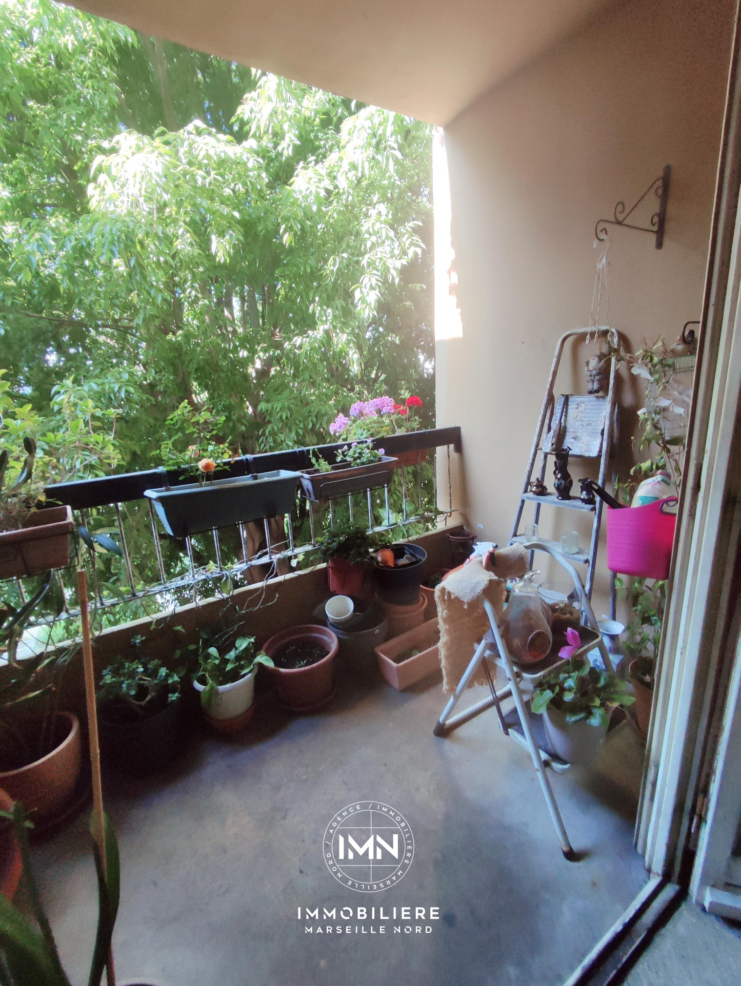 Image_, Appartement, Marseille, ref :001852