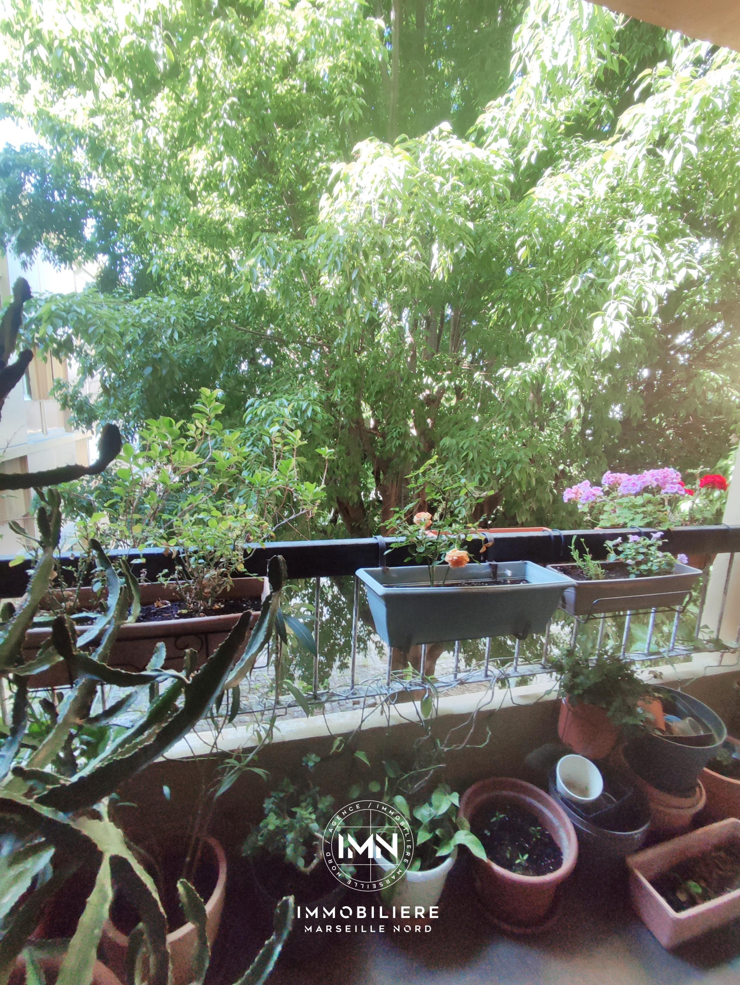 Image_, Appartement, Marseille, ref :001852