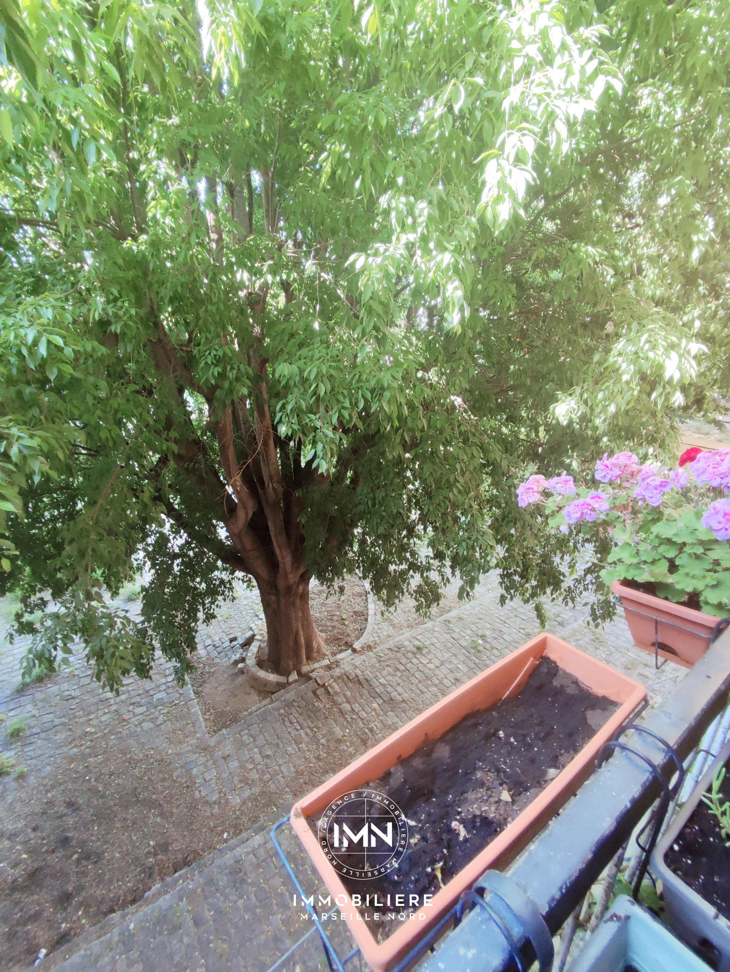 Image_, Appartement, Marseille, ref :001852